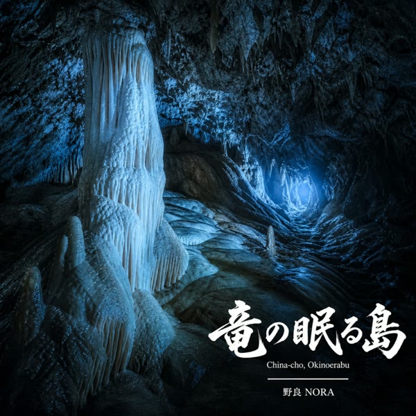竜の眠る島 の ジャケット