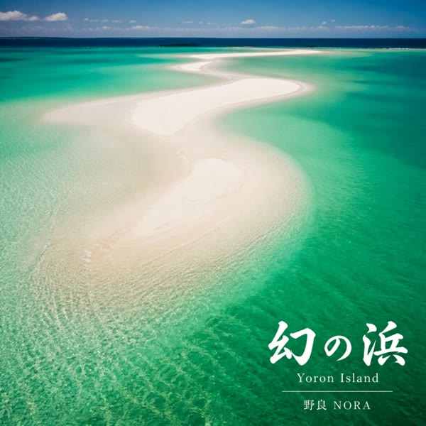 幻の浜 の ジャケット