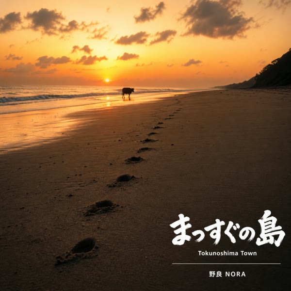 まっすぐの島 の ジャケット