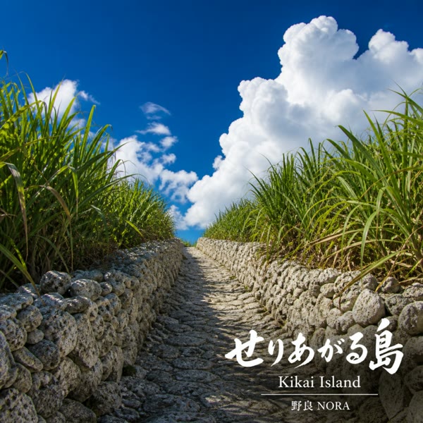 せりあがる島 の ジャケット