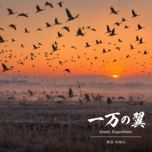 一万の翼 の ジャケット