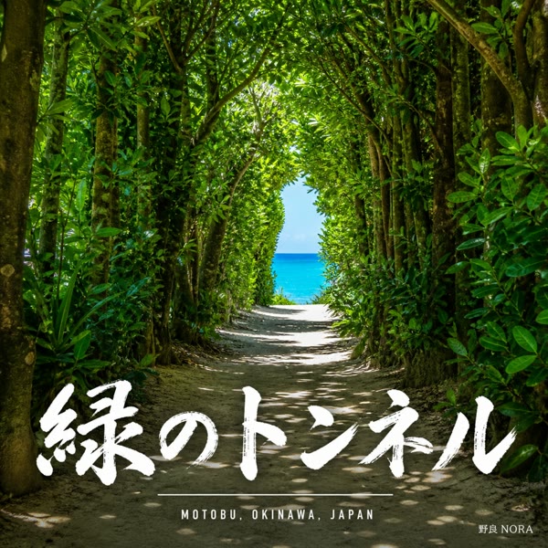 緑のトンネル の ジャケット