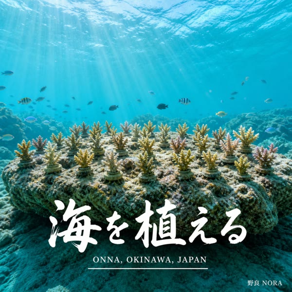 海を植える の ジャケット