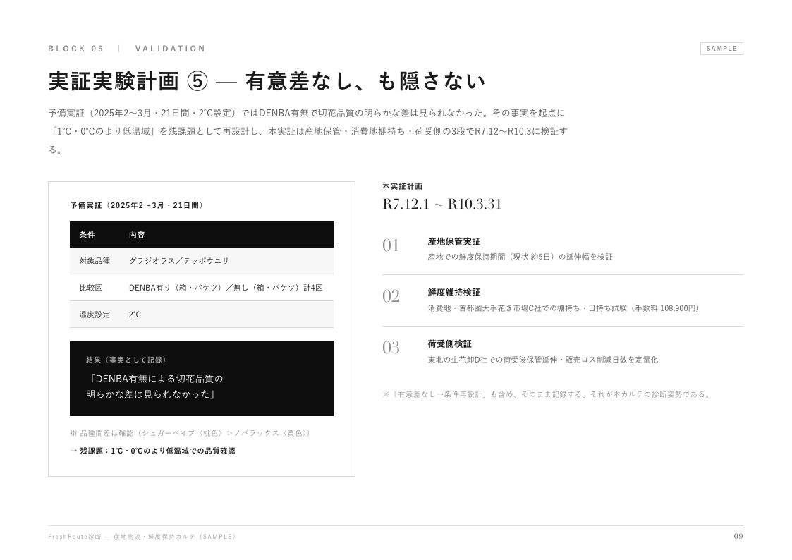 診断カルテ サンプル 実証実験計画